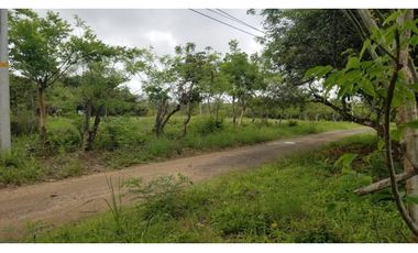 FINCA CON REA COMERCIAL EN LOS UVEROS PENONOMÉ (CP)