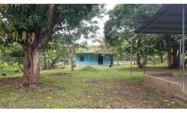 FINCA CON REA COMERCIAL EN LOS UVEROS PENONOMÉ (CP)