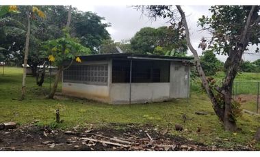 FINCA CON REA COMERCIAL EN LOS UVEROS PENONOMÉ (CP)