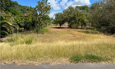 Lote en Coronado (CP)