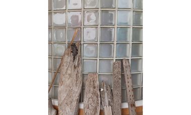 RESIDENCIA CON 4 AMBIENTES INDEPENDIENTES FRENTE A PLAYA CORONA (CP)