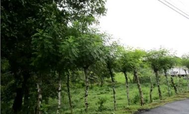 Venta de terreno en Colón