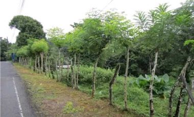 Venta de terreno en Colón