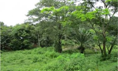 Venta de terreno en Colón