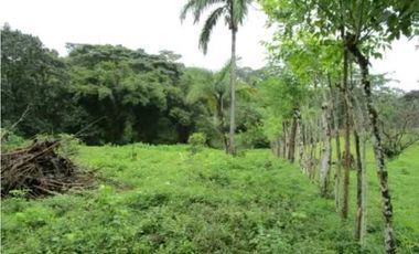 Venta de terreno en Colón