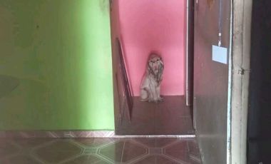 Venta de Casa en 24 de Diciembre