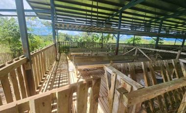 Se vende Finca en San Francisco de Veraguas