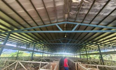 Se vende Finca en San Francisco de Veraguas