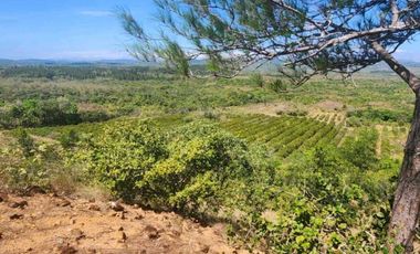 Se vende Finca en San Francisco de Veraguas