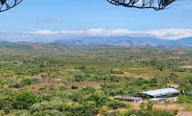 Se vende Finca en San Francisco de Veraguas
