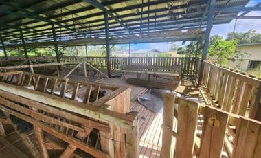 Se vende Finca en San Francisco de Veraguas