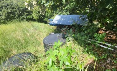 Se vende Finca en San Francisco de Veraguas