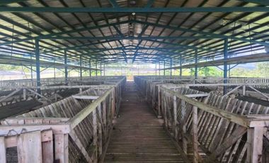 Se vende Finca en San Francisco de Veraguas