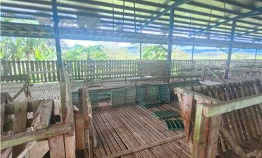 Se vende Finca en San Francisco de Veraguas