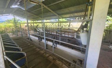 Se vende Finca en San Francisco de Veraguas