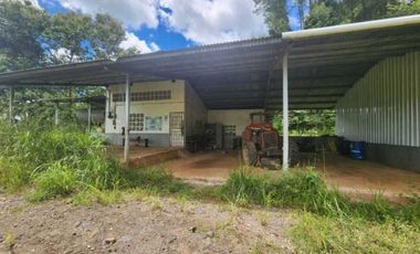 Se vende Finca en San Francisco de Veraguas