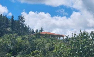 Se vende Finca en San Francisco de Veraguas