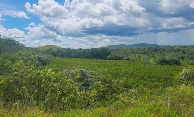Se vende Finca en San Francisco de Veraguas