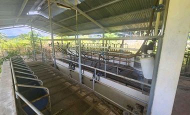 Se vende Finca en San Francisco de Veraguas