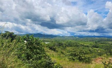 Se vende Finca en San Francisco de Veraguas