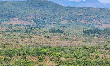 Se vende Finca en San Francisco de Veraguas