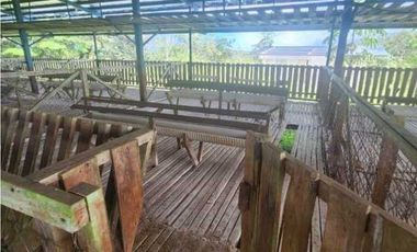 Se vende Finca en San Francisco de Veraguas