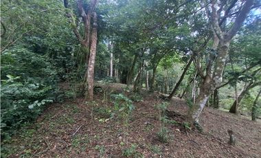 Terreno en la Laguna de San Carlos (CP)