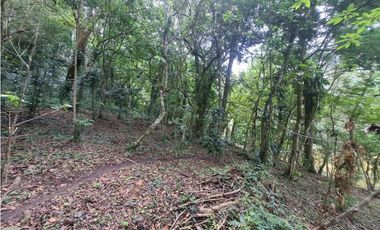 Terreno en la Laguna de San Carlos (CP)