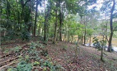 Terreno en la Laguna de San Carlos (CP)