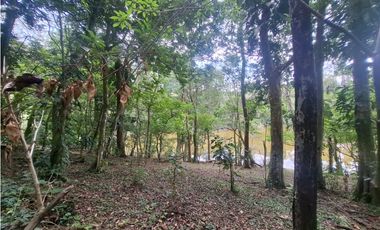 Terreno en la Laguna de San Carlos (CP)