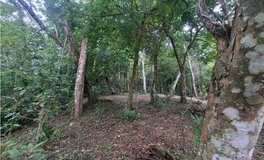 Terreno en la Laguna de San Carlos (CP)