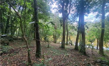 Terreno en la Laguna de San Carlos (CP)