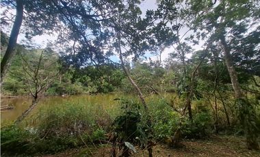 Terreno en la Laguna de San Carlos (CP)