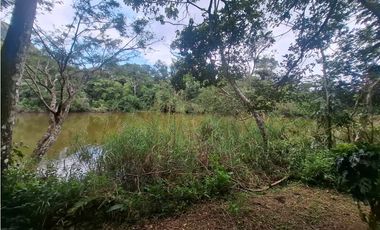 Terreno en la Laguna de San Carlos (CP)