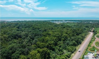 VENTA DE APARTAMENTO EN THE IVY - SANTA MARIA