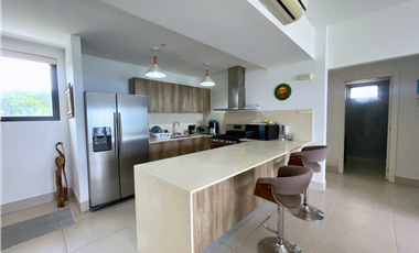VENTA-ALQUILER DE APARTAMENTO EN PH SOLARIA PUNTA CAELO