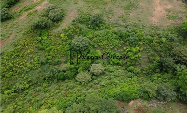 VENTA  DE FINCA EN AGUADULCE CON CERTIFICACION AGROTURISTICA