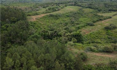 VENTA  DE FINCA EN AGUADULCE CON CERTIFICACION AGROTURISTICA