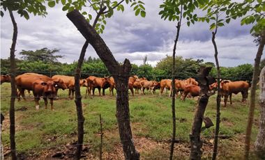 VENTA  DE FINCA EN AGUADULCE CON CERTIFICACION AGROTURISTICA