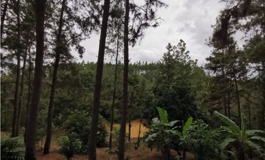 VENTA  DE FINCA EN AGUADULCE CON CERTIFICACION AGROTURISTICA