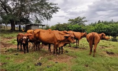 VENTA  DE FINCA EN AGUADULCE CON CERTIFICACION AGROTURISTICA