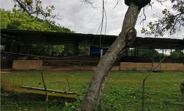 VENTA  DE FINCA EN AGUADULCE CON CERTIFICACION AGROTURISTICA