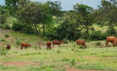 VENTA  DE FINCA EN AGUADULCE CON CERTIFICACION AGROTURISTICA