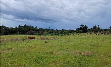 VENTA  DE FINCA EN AGUADULCE CON CERTIFICACION AGROTURISTICA