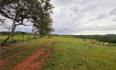 VENTA  DE FINCA EN AGUADULCE CON CERTIFICACION AGROTURISTICA