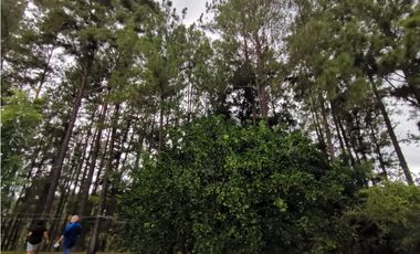 VENTA  DE FINCA EN AGUADULCE CON CERTIFICACION AGROTURISTICA