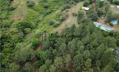 VENTA  DE FINCA EN AGUADULCE CON CERTIFICACION AGROTURISTICA