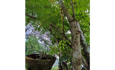 VENTA  DE FINCA EN AGUADULCE CON CERTIFICACION AGROTURISTICA