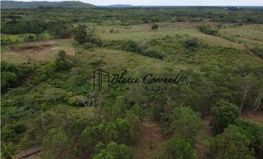 VENTA  DE FINCA EN AGUADULCE CON CERTIFICACION AGROTURISTICA