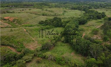 VENTA  DE FINCA EN AGUADULCE CON CERTIFICACION AGROTURISTICA